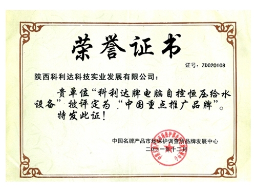 pg电子免费版的荣誉证书